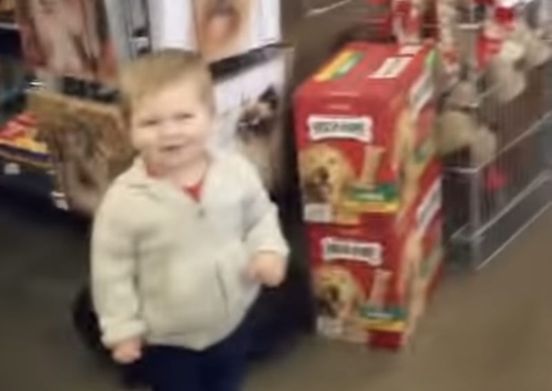 Mira cómo un niño pequeño y un perro gigante forman un vínculo inquebrantable en una tienda de mascotas. ¡Prepárate para momentos conmovedores!
