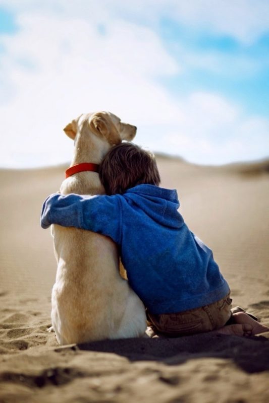 ¡Desata la ternura: 23 imágenes que demuestran que todos los niños necesitan una mascota!