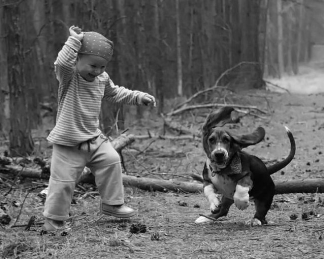 ¡Desata la ternura: 23 imágenes que demuestran que todos los niños necesitan una mascota!