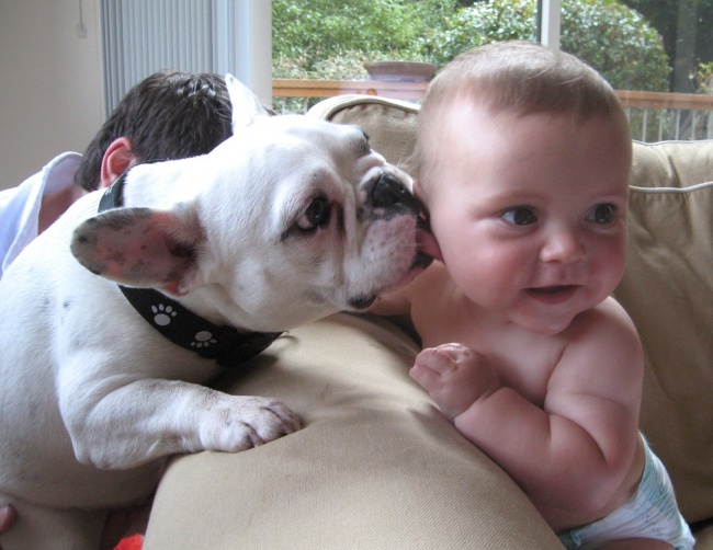 ¡Desata la ternura: 23 imágenes que demuestran que todos los niños necesitan una mascota!