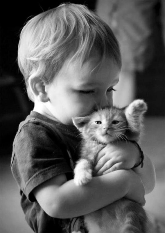 ¡Desata la ternura: 23 imágenes que demuestran que todos los niños necesitan una mascota!