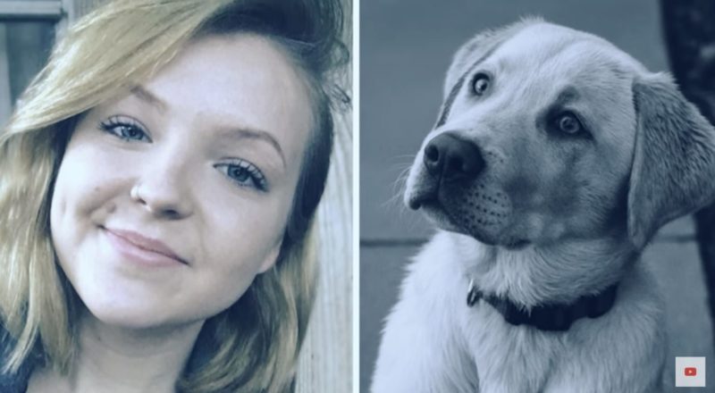 Cuando su humano murió, este perro leal estaba desconsolado, y luego sucedió lo inesperado...