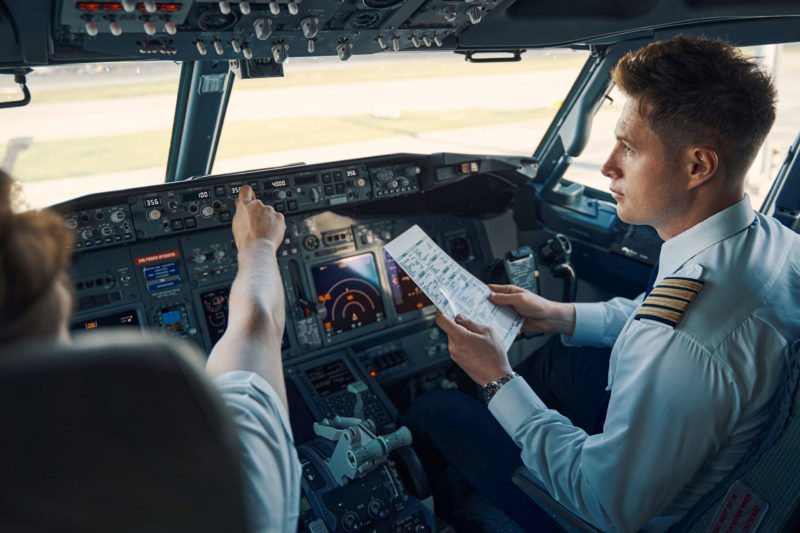 El piloto rompió a llorar cuando se dio cuenta de por qué los pájaros estaban volando junto al avión.