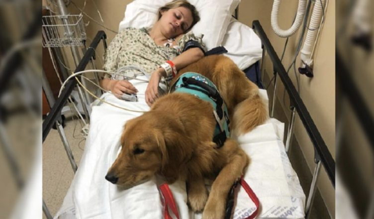 "El perro devoto permanece al lado de su amiga y la cuida incansablemente hasta que esto sucede..."