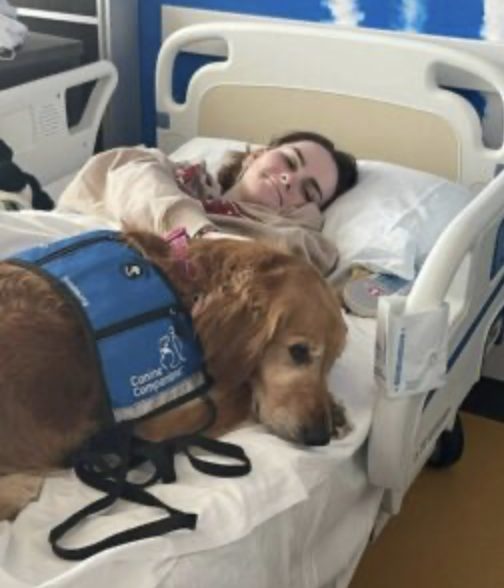 "El perro devoto permanece al lado de su amiga y la cuida incansablemente hasta que esto sucede..."
