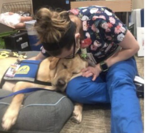 "El perro devoto permanece al lado de su amiga y la cuida incansablemente hasta que esto sucede..."