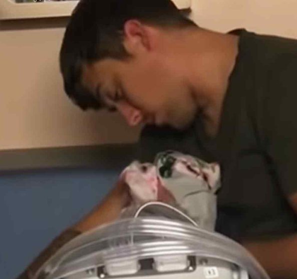 Un padre agotado por la falta de sueño confunde la bata de su esposa con un nuevo bebé.