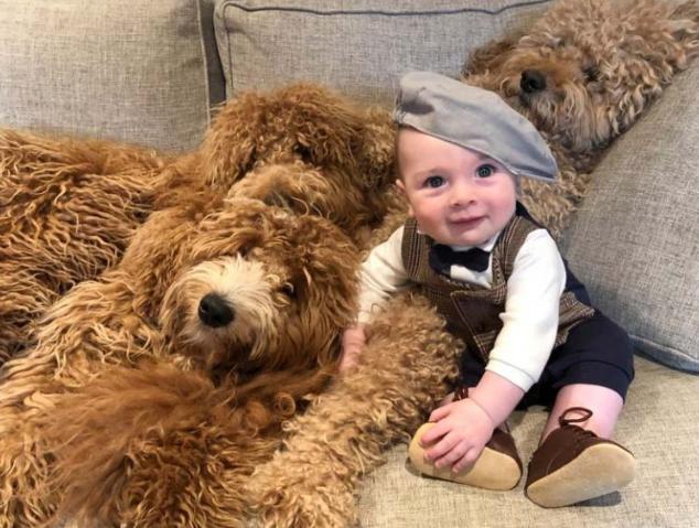 La grande amitié du bébé de 6 mois et des adorables. Des photos qui égayeront votre journée.