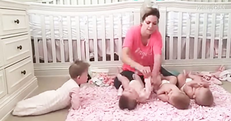 "Mamá alinea a sus cuatrillizos pequeños y adorables. Ahora presta atención al que está en el extremo izquierdo."
