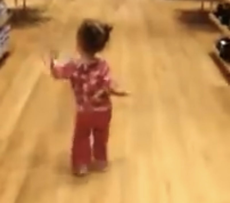 "Niña pequeña encuentra un divertido vacío en la regla de no correr."