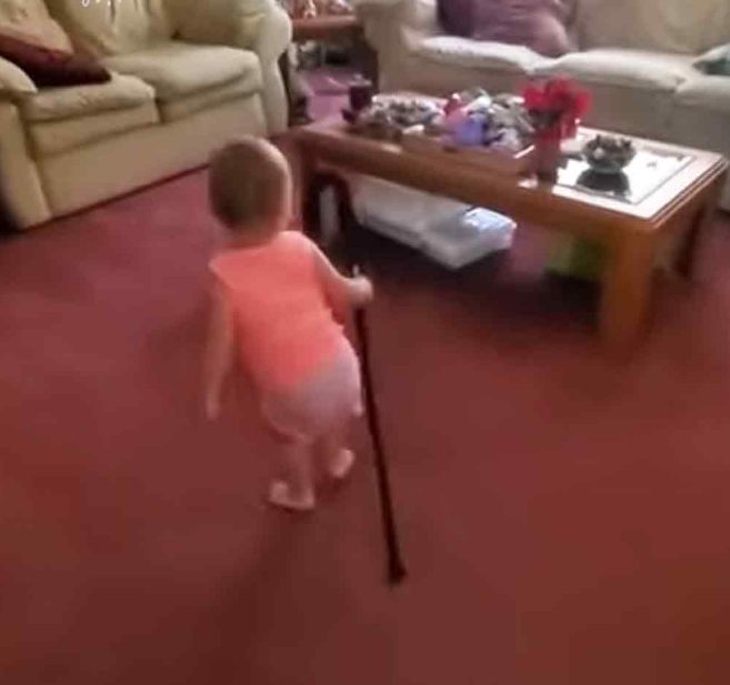 Una preciosa niña pequeña imita adorablemente el caminar de su abuelo.