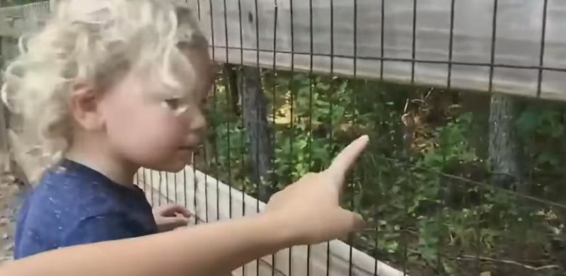 Jugando con burbujas de jabón, el niño pequeño descubrió a su abuela desaparecida que estuvo perdida durante cuatro días.