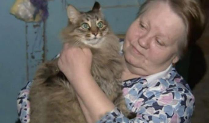 El bebé fue abandonado en el frío. Lo que hizo el gato superó el llamado del deber.