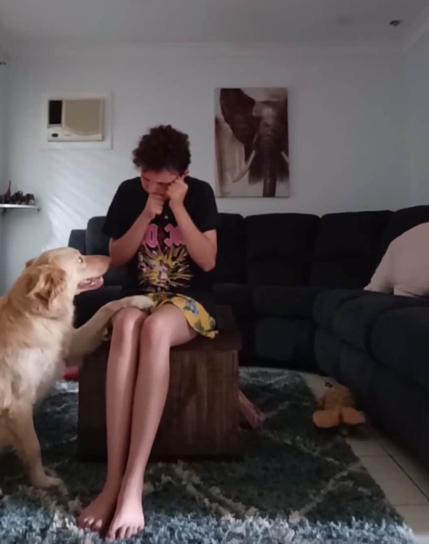 Un video de un perro de servicio calmante de una mujer autista durante un ataque de pánico se ha vuelto viral, y por una buena razón | MIRA