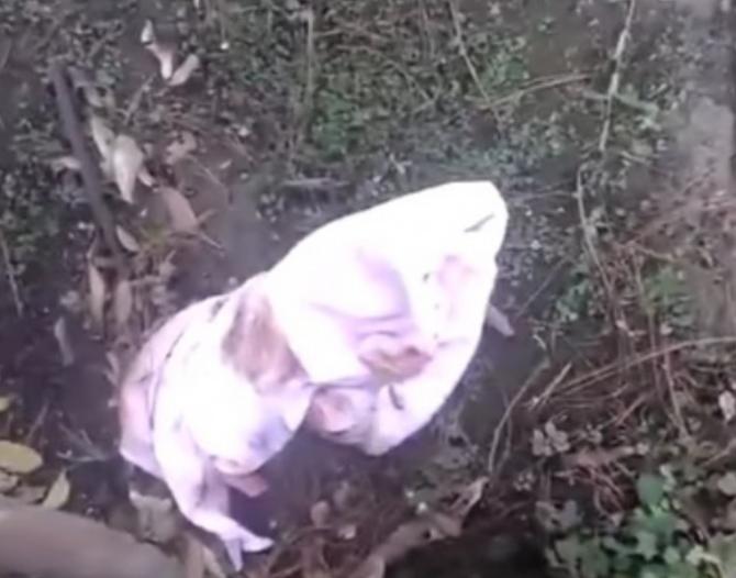 Este hombre decidió adoptar a la niña que encontró en la calle, y para él, no existen "niños ajenos".