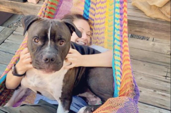 ¡El pitbull rescatado no puede dejar de subirse a la hamaca con sus nuevos dueños, y es simplemente encantador!