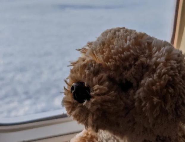 "El perrito" comienza una nueva aventura con la ayuda de la amable agente de la aerolínea.