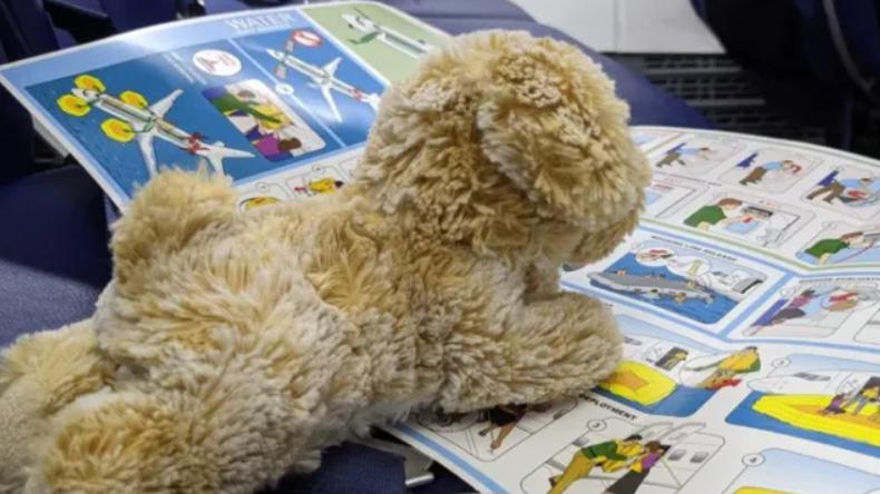 "El perrito" comienza una nueva aventura con la ayuda de la amable agente de la aerolínea.