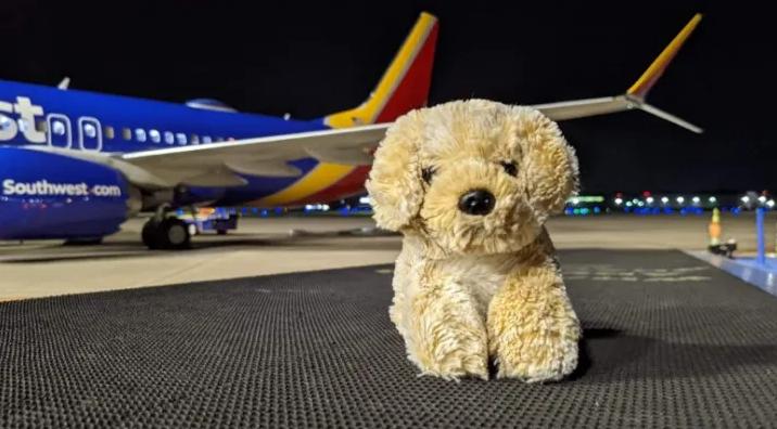 "El perrito" comienza una nueva aventura con la ayuda de la amable agente de la aerolínea.