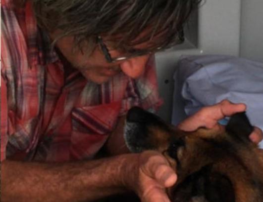 ¡Claro! Solo tienes que mirar a este perro inteligente que arriesgó su vida para salvar a su dueño.