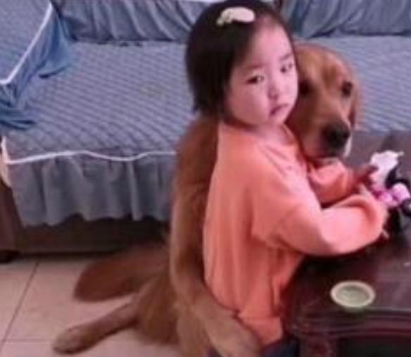 Mira cómo este lindo perro cuida a su pequeña amiga y la protege de ser castigada.