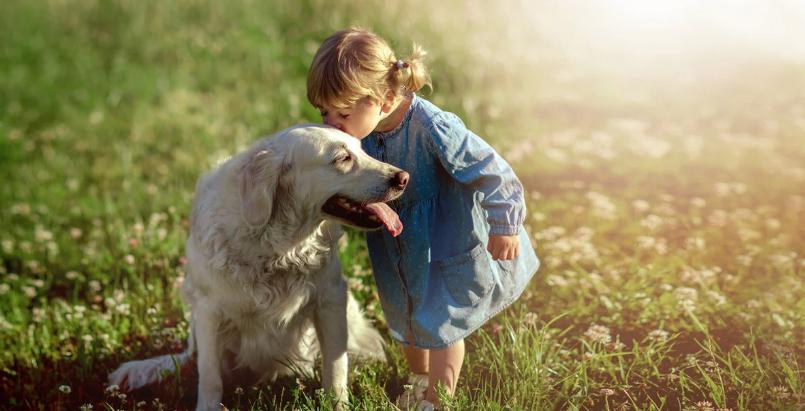 "Observa cómo estos perros protegieron a la pequeña niña, que se consideraba desaparecida, del frío."