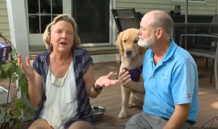 La familia llevó por error a casa un doble de su golden retriever del jardín de infantes para perros.