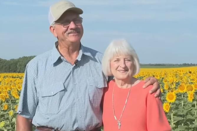 En honor a su 50º aniversario de bodas, el esposo hizo un regalo secreto: plantó 1,2 millones de girasoles. ¡Qué gesto tan romántico!