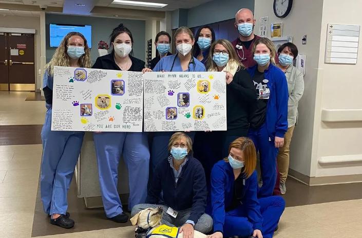 El perro de servicio recibe honores heroicos después de brindar consuelo a todo el hospital.