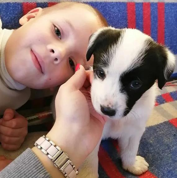 Un niño con una patología recibió un cachorro con la misma enfermedad.