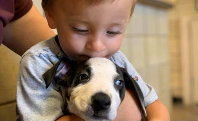 Un niño con una patología recibió un cachorro con la misma enfermedad.
