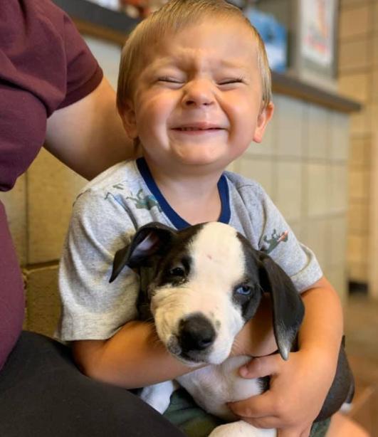 Un niño con una patología recibió un cachorro con la misma enfermedad.