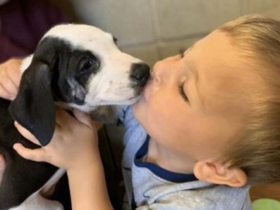 Un niño con una patología recibió un cachorro con la misma enfermedad.