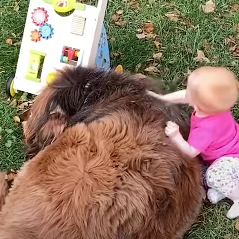 Pequeña niña entabla amistad con un perro gigante que la trata como a una hermana mayor. Echa un vistazo a sus impresionantes fotos.