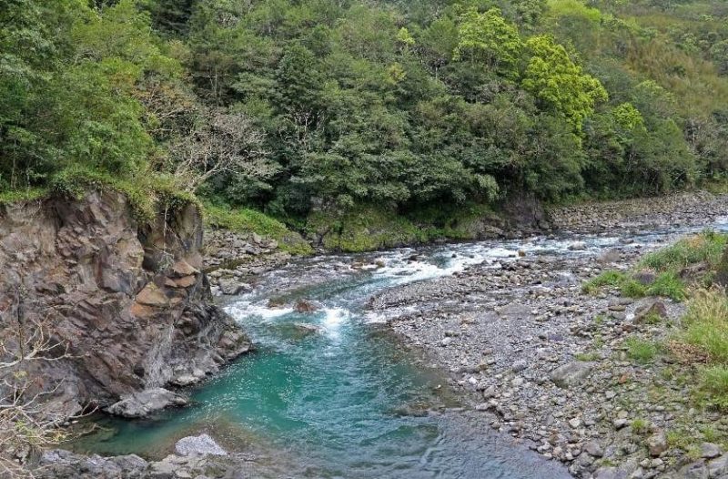 La madre y sus hijos encontraron una botella con una carta junto al río. En la carta estaba escrito lo siguiente: 'Es realmente increíble...'