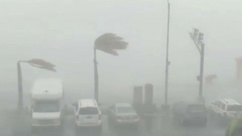 Chica de la tormenta: nació justo durante un huracán en Florida.