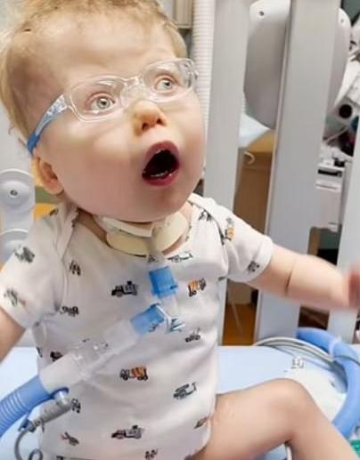 Un niño de tres años conoció a sus padres por primera vez, y ese momento los conmovió hasta el fondo del alma.