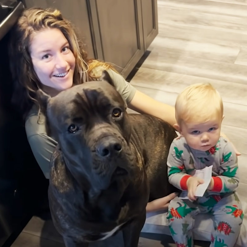 En un niño pequeño, el perro actúa como una especie de niñera, casi nunca se separa del bebé.