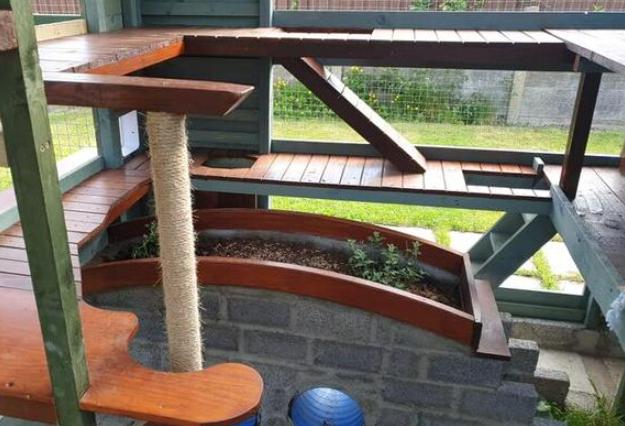Para construir la casa de ensueño para sus gatos, a un hombre le llevó todo un año.