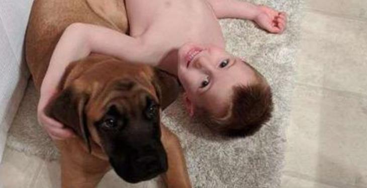 La verdadera amistad: cuando los padres decidieron castigar a su hijo por sus travesuras, el fiel perro no abandonó a su amigo en apuros.