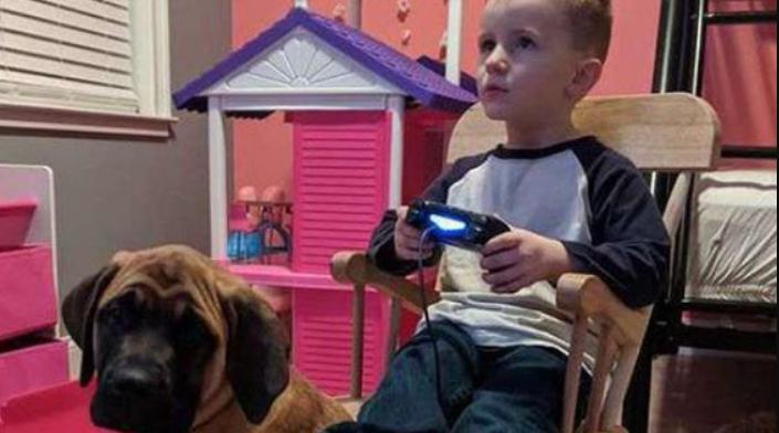 La verdadera amistad: cuando los padres decidieron castigar a su hijo por sus travesuras, el fiel perro no abandonó a su amigo en apuros.
