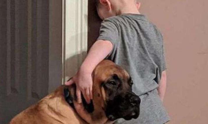 La verdadera amistad: cuando los padres decidieron castigar a su hijo por sus travesuras, el fiel perro no abandonó a su amigo en apuros.