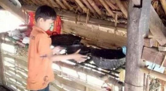 Un niño de diez años lleva una vida solitaria y enfrenta desafíos significativos en su vida cotidiana. ¿Cómo se enfrenta a estas dificultades y cómo está organizada su vida?