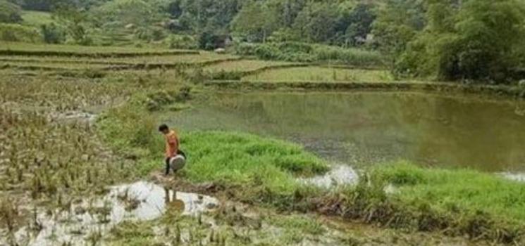 Un niño de diez años lleva una vida solitaria y enfrenta desafíos significativos en su vida cotidiana. ¿Cómo se enfrenta a estas dificultades y cómo está organizada su vida?
