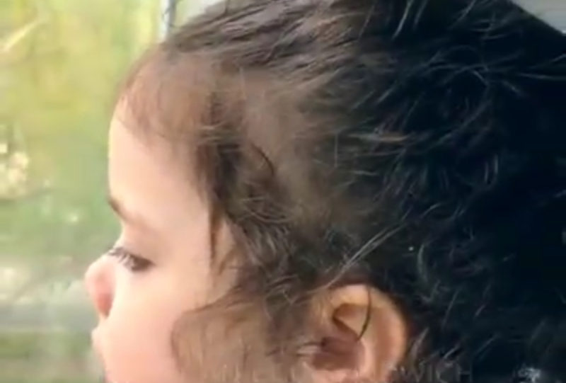 El video más tierno: un niño de dos años observa mientras su papá conduce y hace adorables comentarios.