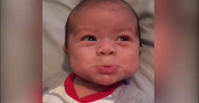 Bebés adorables haciendo pucheros, pero su nivel de ternura está al máximo.