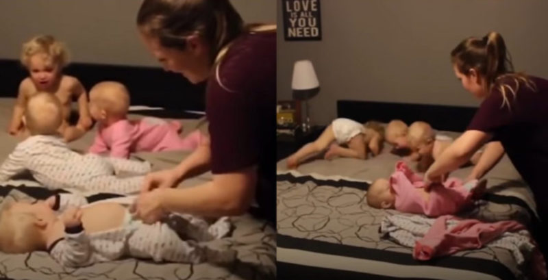 4 increíbles pequeñitos no dejan sola a su mamá; al ver sus fotos, todo quedará claro.
