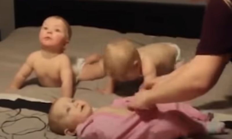 4 increíbles pequeñitos no dejan sola a su mamá; al ver sus fotos, todo quedará claro.