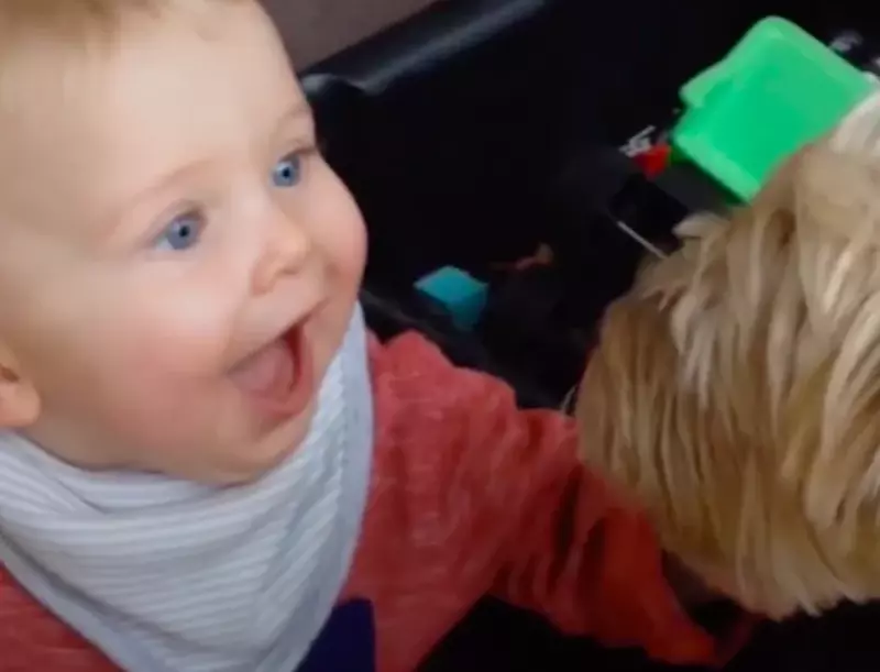 ¿Cuáles son los maravillosos beneficios reales de tener mascotas al criar a los niños?