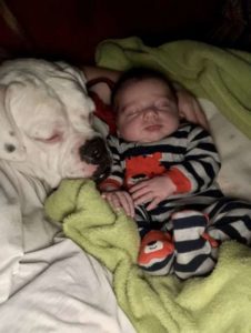 VIDEO: El bebé insiste en dormir junto al perrito todas las noches, pero hay una conmovedora razón detrás de eso además de ser tierno...